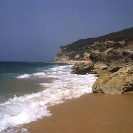 Gaviota 103400 By Mo *